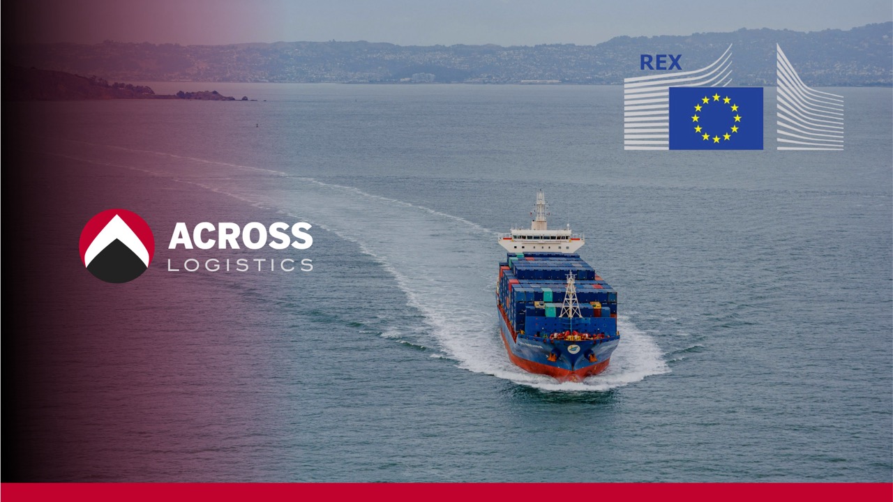 Número REX: Qué es y su importancia en el comercio internacional